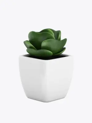 product-image-9_optimized Sollicitudin Aliquam