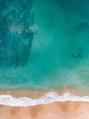 pexels-oliver-sjöström-1078981 多選項商品